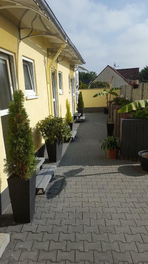 Pension Dreger Freimersheim (Alzey-Worms) Exterior foto